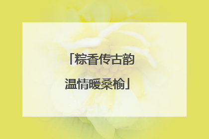 粽香传古韵 温情暖桑榆