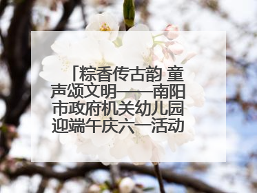粽香传古韵 童声颂文明——南阳市政府机关幼儿园迎端午庆六一活动丰富多彩