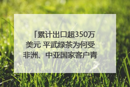 累计出口超350万美元 平武绿茶为何受非洲、中亚国家客户青睐？｜发布会观察