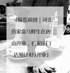 纵览原创｜河北首家盒马鲜生在唐山开业，石家庄门店预计8月开业