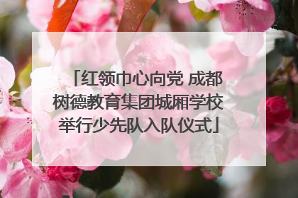 红领巾心向党 成都树德教育集团城厢学校举行少先队入队仪式
