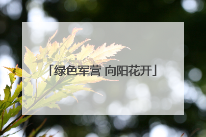 绿色军营 向阳花开