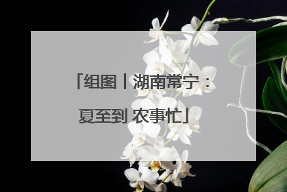 组图丨湖南常宁：夏至到 农事忙