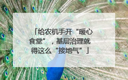给农机手开“暖心食堂”，基层治理就得这么“接地气”