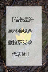 信长星许昆林会见西藏拉萨党政代表团