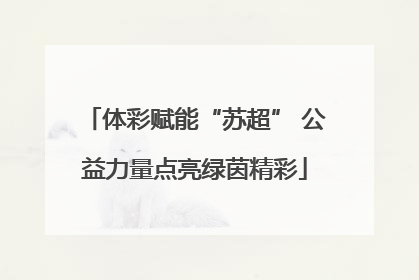 体彩赋能“苏超” 公益力量点亮绿茵精彩