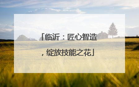 临沂：匠心智造，绽放技能之花