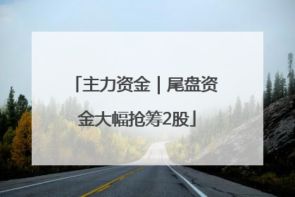 主力资金｜尾盘资金大幅抢筹2股