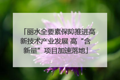 丽水全要素保障推进高新技术产业发展 高“含新量”项目加速落地