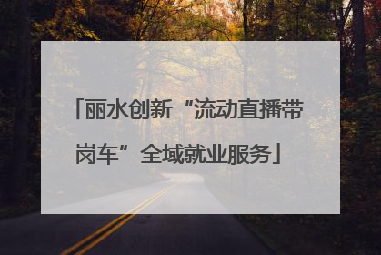 丽水创新“流动直播带岗车”全域就业服务