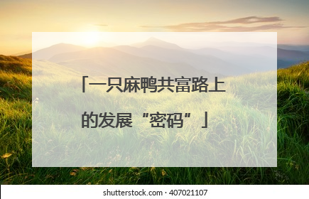 一只麻鸭共富路上的发展“密码”
