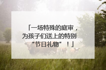 一场特殊的庭审，为孩子们送上的特别“节日礼物”！