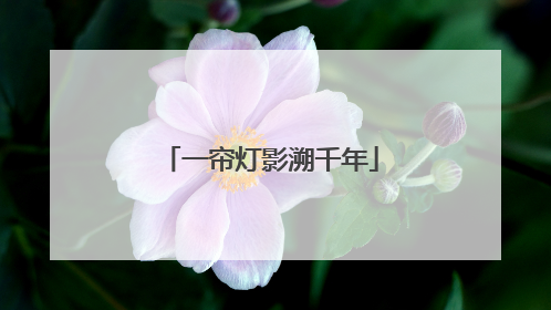 一帘灯影溯千年