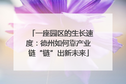 一座园区的生长速度：德州如何靠产业链“链”出新未来