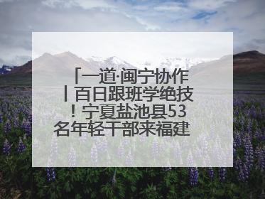 一道·闽宁协作丨百日跟班学绝技！宁夏盐池县53名年轻干部来福建取“真经”