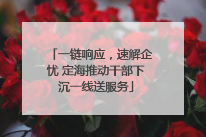 一链响应，速解企忧 定海推动干部下沉一线送服务