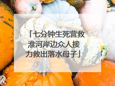 七分钟生死营救 淮河岸边众人接力救出落水母子
