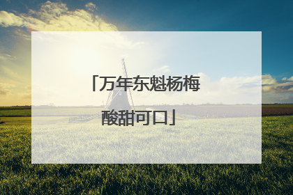 万年东魁杨梅 酸甜可口