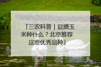 三农科普｜夏播玉米种什么？北京推荐这些优秀品种