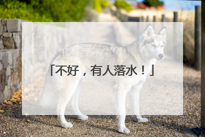 不好，有人落水！