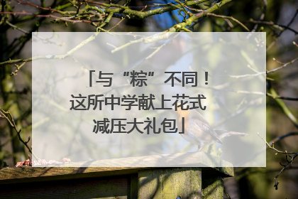 与“粽”不同！这所中学献上花式减压大礼包
