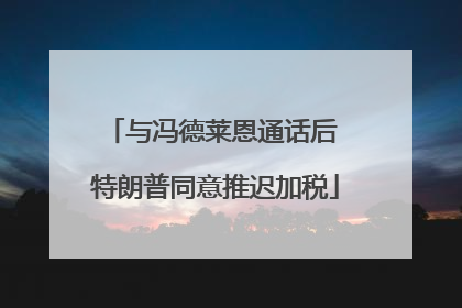 与冯德莱恩通话后 特朗普同意推迟加税