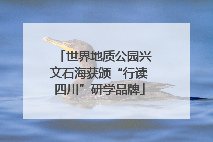 世界地质公园兴文石海获颁“行读四川”研学品牌