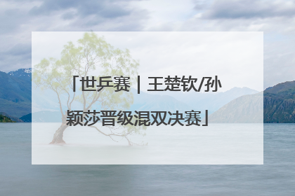 世乒赛｜王楚钦/孙颖莎晋级混双决赛