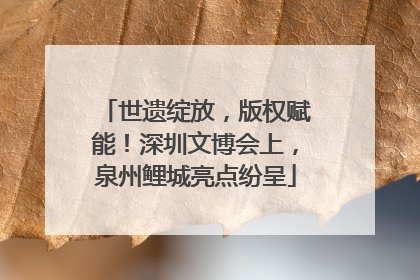 世遗绽放，版权赋能！深圳文博会上，泉州鲤城亮点纷呈
