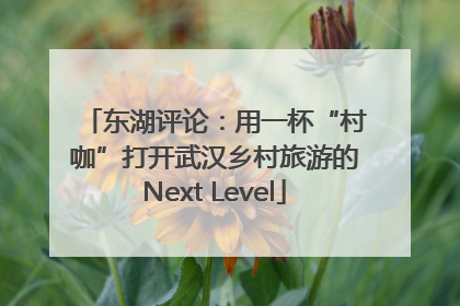 东湖评论：用一杯“村咖”打开武汉乡村旅游的Next Level