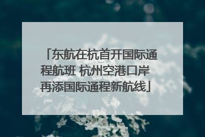 东航在杭首开国际通程航班 杭州空港口岸再添国际通程新航线