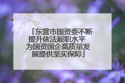 东营市国资委不断提升依法履职水平 为国资国企高质量发展提供坚实保障