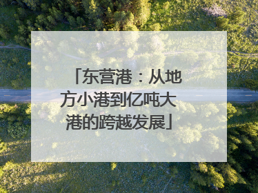 东营港：从地方小港到亿吨大港的跨越发展