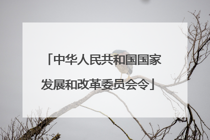 中华人民共和国国家发展和改革委员会令