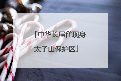 中华长尾雀现身太子山保护区