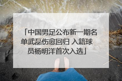 中国男足公布新一期名单武磊伤愈回归 入籍球员杨明洋首次入选