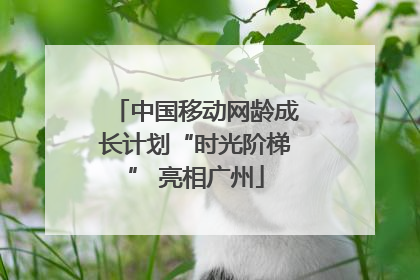 中国移动网龄成长计划“时光阶梯” 亮相广州