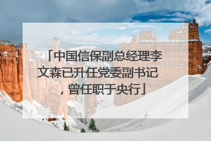 中国信保副总经理李文森已升任党委副书记，曾任职于央行