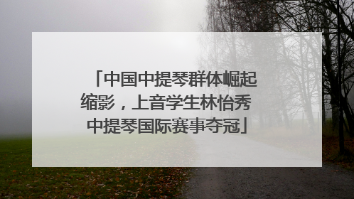 中国中提琴群体崛起缩影，上音学生林怡秀中提琴国际赛事夺冠