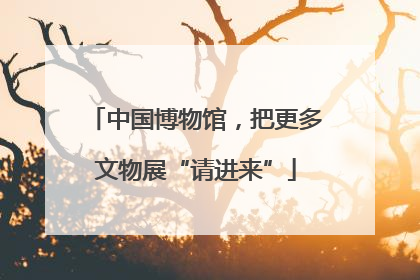 中国博物馆，把更多文物展“请进来”