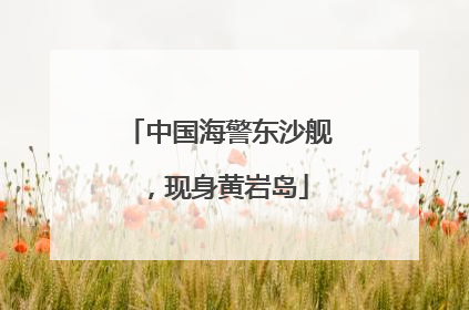 中国海警东沙舰，现身黄岩岛
