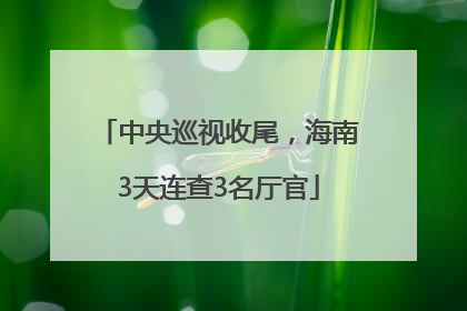 中央巡视收尾，海南3天连查3名厅官