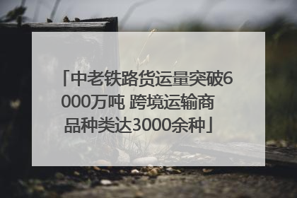 中老铁路货运量突破6000万吨 跨境运输商品种类达3000余种