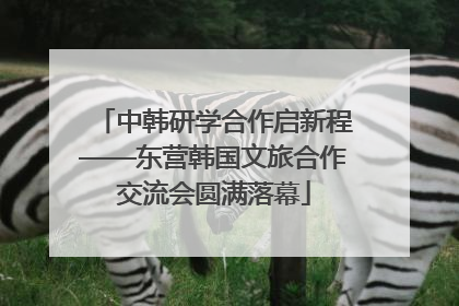 中韩研学合作启新程——东营韩国文旅合作交流会圆满落幕