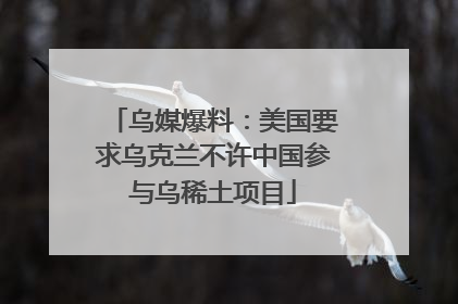 乌媒爆料：美国要求乌克兰不许中国参与乌稀土项目