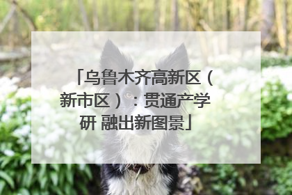乌鲁木齐高新区（新市区）：贯通产学研 融出新图景