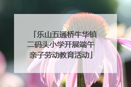 乐山五通桥牛华镇二码头小学开展端午亲子劳动教育活动