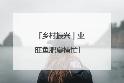 乡村振兴｜业旺鱼肥夏捕忙