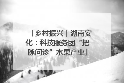 乡村振兴｜湖南安化：科技服务团“把脉问诊”水果产业