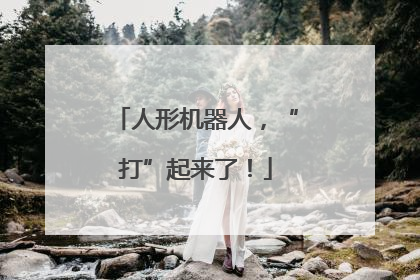 人形机器人，“打”起来了！